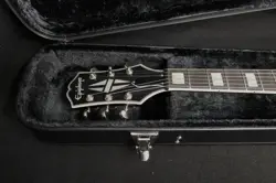 ARCHTOP CASE