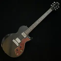 CUSTOM SPECIAL