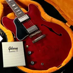 1964 ES-335 LEFT