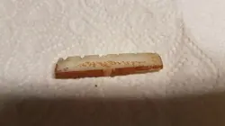 1959 GIBSON LES PAUL NUT USA