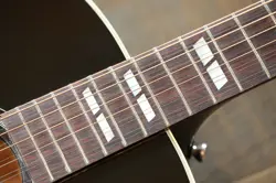 PRO 12-STRING