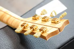 STANDARD ACOUSTIC/