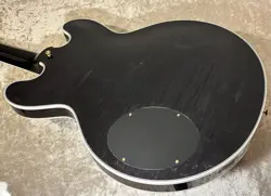 TRANSPARENT EBONY 2021