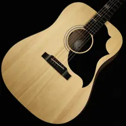 GIBSON G-BIRD