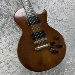 THE PAUL FIREBRAND
