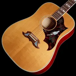 1991 AKOGI