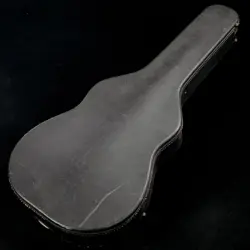ES-330 SUNBURST WIDE