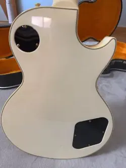 PAUL CUSTOM COLOR