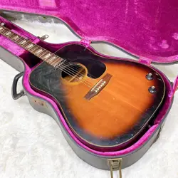 1976 GIBSON J-160E
