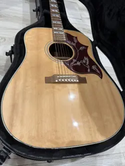 HUMMINGBIRD CASE