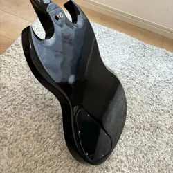 WITH GUITAR CASE