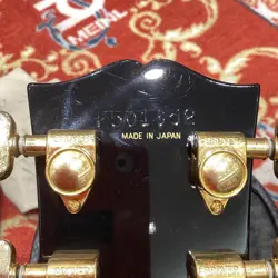 PAUL CUSTOM SERIAL