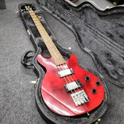 BASS ELECTRIC 194925