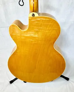 ACOUSTIC GUITAR OHSC