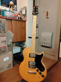 GIBSON.L6-S NO.MG3171