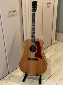 GIBSON J-50 2000 ECO J50 ACOUSTIC GUITARS