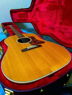 POLE ACOUSTIC GUITARS
