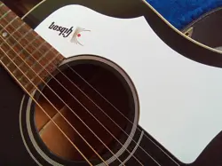 J-45 ACOUSTIC GUITARS