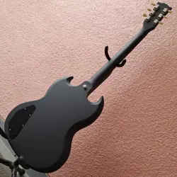 ANNIVERSARY SG ELECTRIC