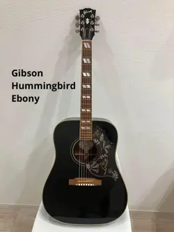 12 /BLACK ACOUSTIC