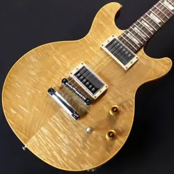 USA AAA