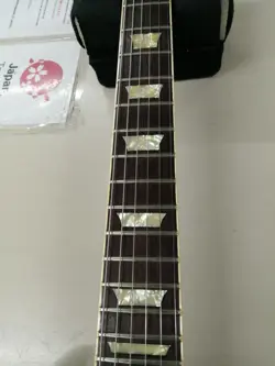 SGELECTRIC GUITAR SAFE