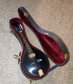MANDOLIN IN