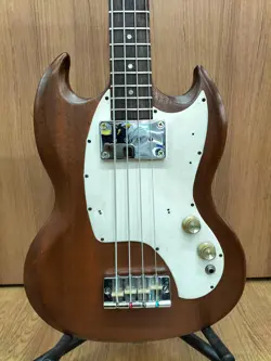 BASS ELECTRIC SAFE