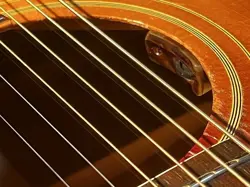 SUNBURST 1966 G-CLUB