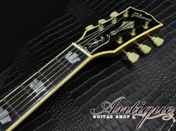 HOLLOWBODY 2003