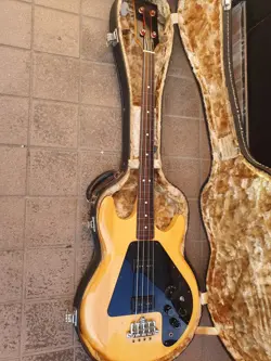 FRETLESS