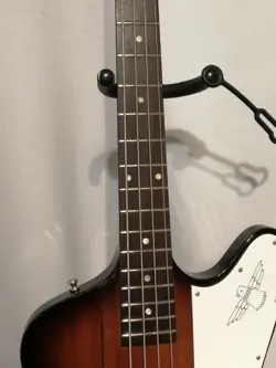 BASS GUITARS