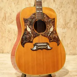 ACOUSTIC GUITAR *RKZ118
