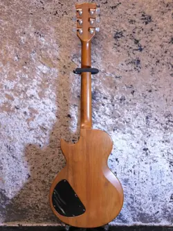 GIBSON THE PAUL '80 NO.DG1584