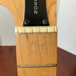 GUITAR NECK W/
