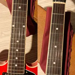 ES 335 SIXTIES
