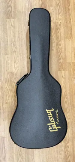 CUSTOM ACOUSTIC ELECTRIC