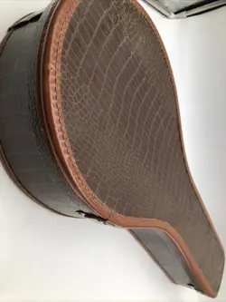 ALLIGATOR STYLE