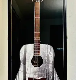 DISPLAY CASE ELECTRIC