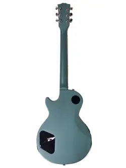 PAUL GIG CASE