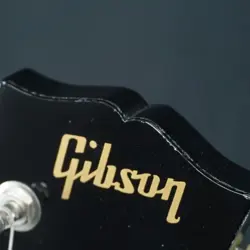 BLACK MAHOGANY BODY