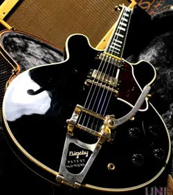 2015 SEMI-HOLLOW
