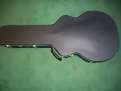 GIBSON BYRDLAND CASE MADE IN CANADA  (BRAND NEW) $169.90