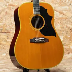 GIBSON COUNTRY WESTERN 1965