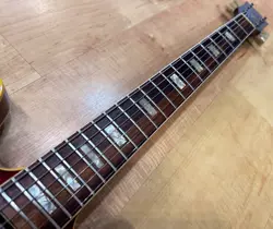 SEMI-HOLLOW BODY ELECTRIC