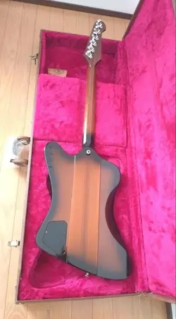 FIREBIRD 2002
