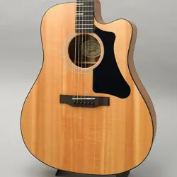 GIBSON G-WRITER EC