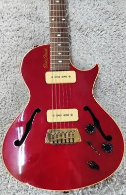 GUITAR IN HERITAGE