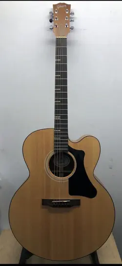 GIBSON GENERATION COLLECTION G-200 EC NATURAL (E10040292)