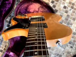 ROSEWOOD NECK